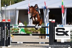 CSI3* GP Tub.: Vorsselmans op 2, Clemens 6de