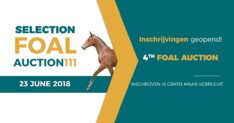 Inschrijvingen Foal Auction 111 geopend!