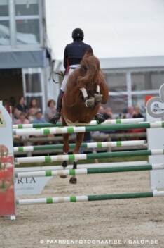 Emerald-zoon Igor tweede in finale VIlamoura