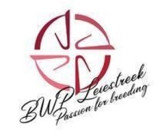 BWP LEIESTREEK HOUDT FLANDERS FREE JUMP '19