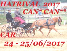 Hatrival, startlijst dressuur + LIVE results