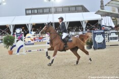 WB WEF: Maher en Michaels-Beerbaum 1 & 2