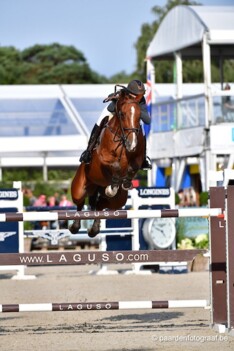 CSIO3* Ugger.: Annelies Vorsselmans valt op