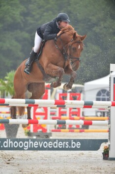 WK 5j: 73 combinaties houden het foutloos