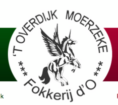 Training parcours Overdijk