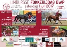 BWP fokkerijdag Limburg - laatste dagen