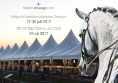 Selecties FDE Intern. Auction Dressuur