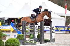 CSI1* GP Valkenswaard voor Alexander Housen!