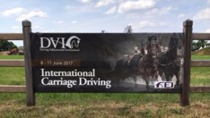 Dossier Valkenswaard (NED) - 8-11/06/2017