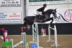 CSIYH Lier:Wereldkampioen voor Belgische top