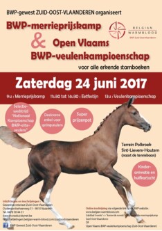 BWP-merrieprijskamp & veulenkampioenschap