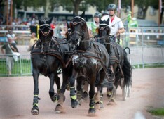 Prima resultaten voor Belgische menners op internationale menwedstrijd in Windsor