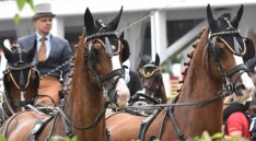 Glenn Geerts wint CAI3* Nebanice (CZE)