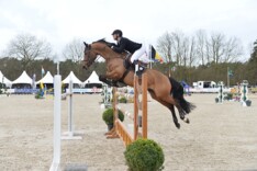 CSI2* Opglabbeek: Cedric Volo wordt tweede