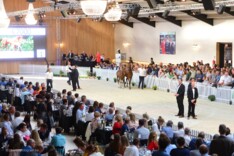 BWFA veiling gemiddelde van 19.000 euro