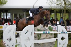 Hengst van Joris Van Dijck wint 1.50m Bourg