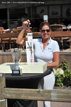 Jumping Wase Paard: Carton voor Stevens