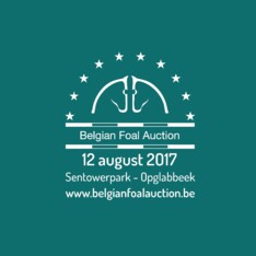 20ste Belgian Foal Auction wordt top-editie!