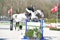 CSIOJ Fontainebleau: Philippaerts 10de in GP