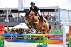 Caro-Belle de Hornois wint in Valkenswaard!