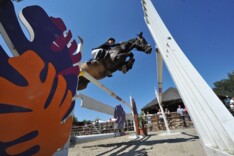 Pony's winnen Belgische landenprijs