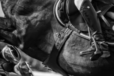 Nieuw Vlaams Jumping Reglement