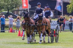 Terugblik: Paardenspektakel Beekbergen 2019