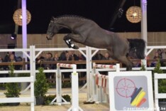 92.000 euro voor BWP-veilingtopper