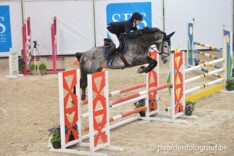 CSI1 Moorsele: Paris Vandousselaere op 1 & 2