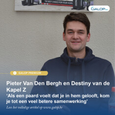Pieter Van Den Bergh en Destiny van de Kapel Z ‘Als een paard voelt dat je in hem gelooft, kom je tot een veel betere samenwerking’