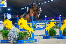 Jeroen De Winter en Petrossian BC winnen bij de 7-jarige hengsten!