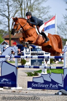CSI2* Opglab.: Pieter Clemens derde in GP!