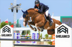 Krismar Stables verkoopt Menko Vd Wellington