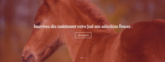 Fences: extra veulenselectiedag in Moerzeke!