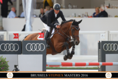 Stal Philippaerts koopt J’Adore vh Schaeck!
