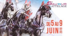 Dossier Saumur (FRA) - 5-9/6/2019