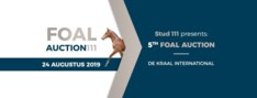 Waarom inschrijven bij Foal Auction 111?