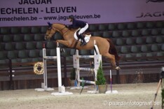 CSI2* Opglabbeek: GP voor Zanotelli