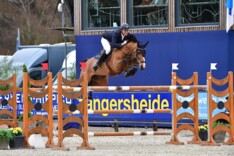 Hoofdrubriek voor Christophe Vanderhasselt
