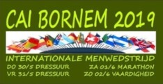 Dossier Bornem (BEL) - 30/5-2/6/2019