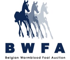 BWFA selecties