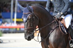 Iron Man vd Padenborre tweede in GP Sentower