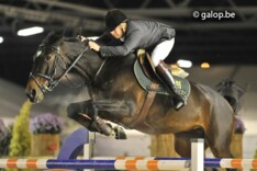 NY Jumping De Warre: Caubergs en Hornesch