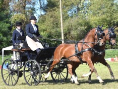 Lisieux: Pieter Van Den Broeck wint dressuur
