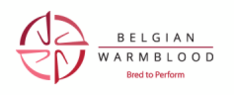Rapporten BWP hengsten 2019 online