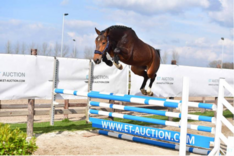 ET Auction: alle topverervers present!