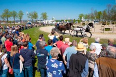 Zonovergoten Paasweekend voor menliefhebbers