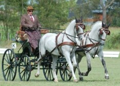 Welkom in Booischot - alle info - 1-2 juni 2013