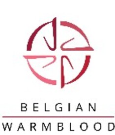 Wedstrijd vrijspringen BWP Limburg op 2/04