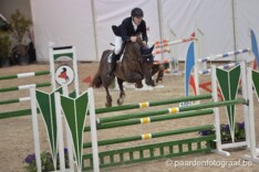 Z Auction: € 40.500 voor embryo-topper